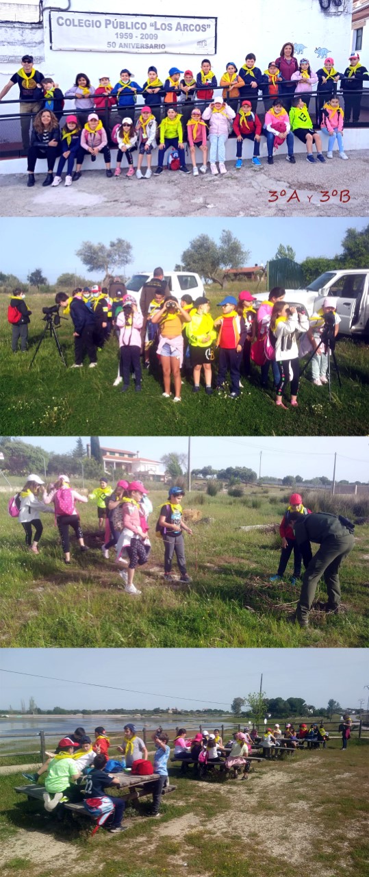 thumbnail excursion 3